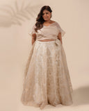 Champagne Glamor Lehenga Set