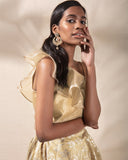 Starlight Dust Lehenga Set
