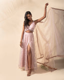 Diamonds in the Sky Ruffled Lehenga Set