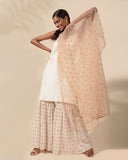 Girl in the Mirror Sharara Set