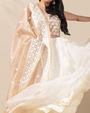 Twirling Confetti Lehenga Set