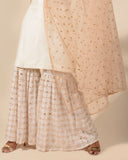 Girl in the Mirror Sharara Set
